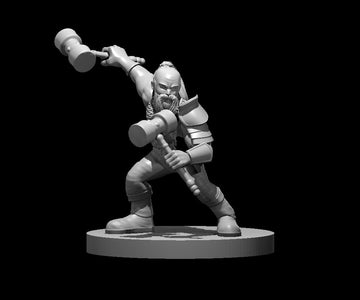 Dwarf Fighter Dual Hammers