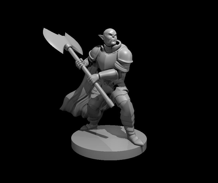 Half Orc Fighter